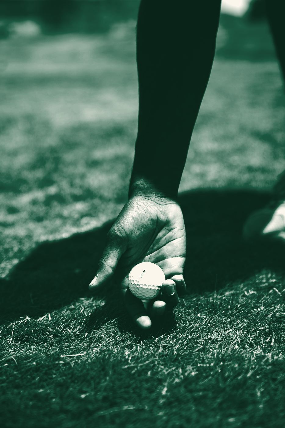 A hand placing a golf ball on the tee